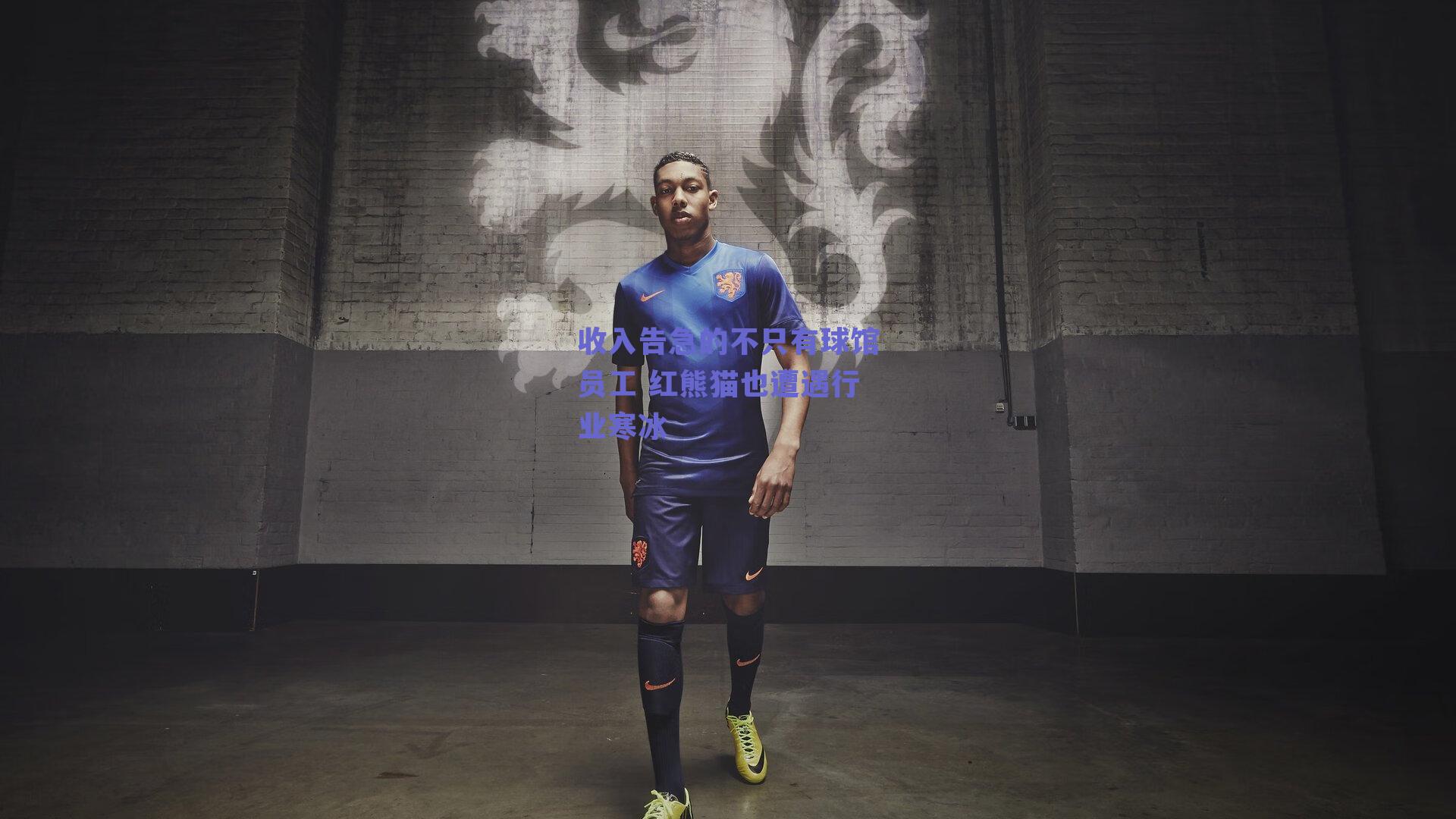 收入告急的不只有球馆员工 红熊猫也遭遇行业寒冰