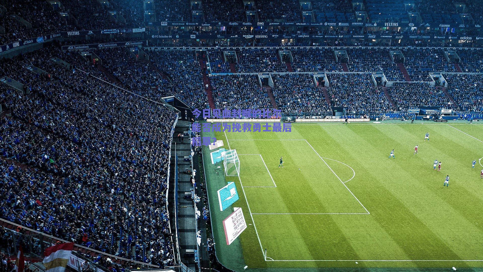 今日见血封喉的比尔 能否成为挽救勇士最后稻草？